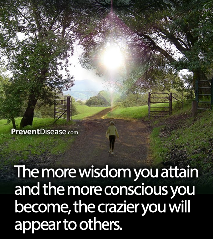 The Wiser You Become The Crazier You Seem