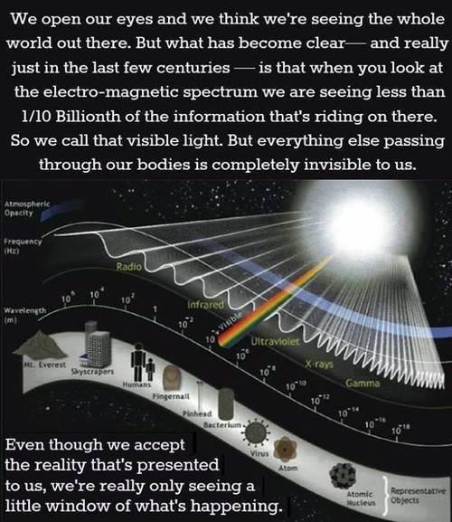 One Ten Billionth