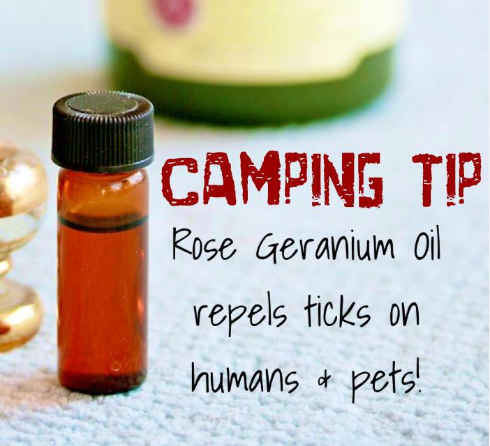 Tick Repellent