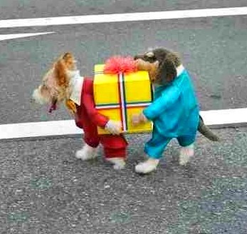 Two Dogs Carrying Present