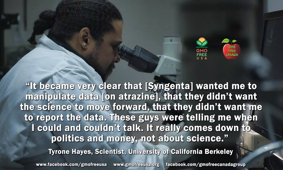 Tyrone Hayes - Hero