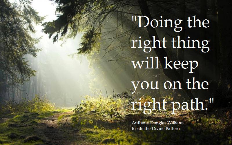 How to Stay On Track!