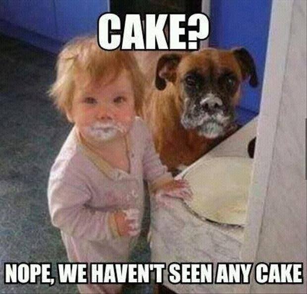No Cake Here