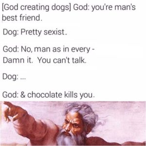 God Created Dog
