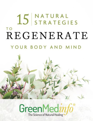 15 Natural Strategies to Regenerate Your Body and Mind