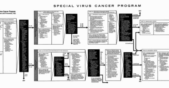 AIDS And The Special Virus Cancer Program