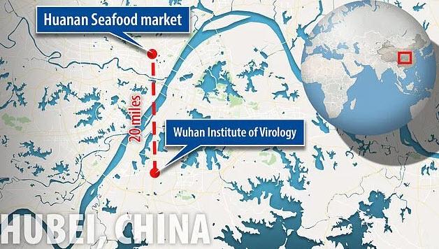 Wuhan Virology