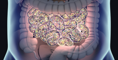 Gut Microbiome