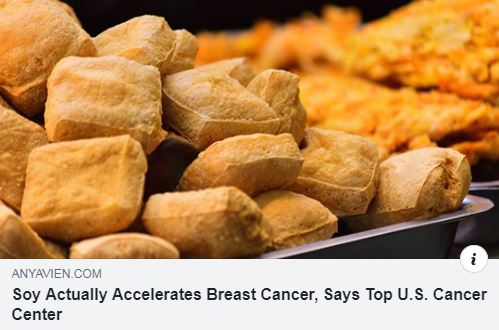 Soy Accelerates Breast Cancer