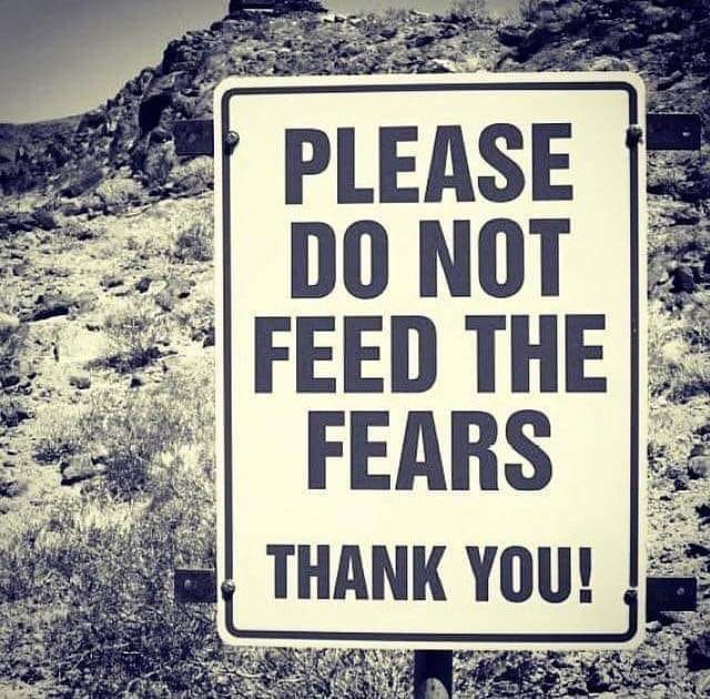 Do Not Feed The Fears