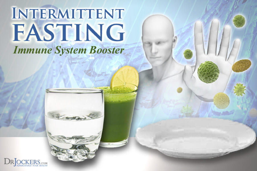 Intermittent Fasting Immune