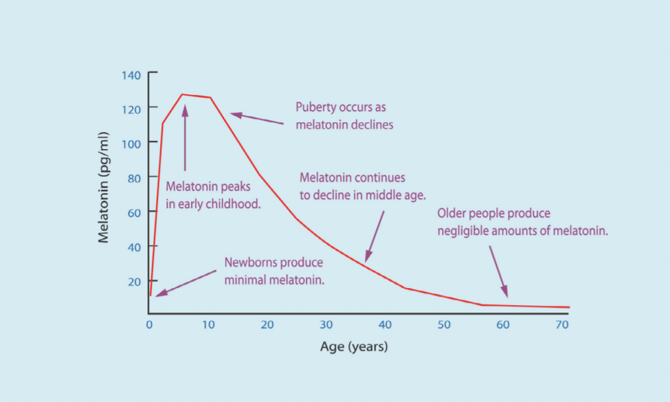 Melatonin Secretion By Age