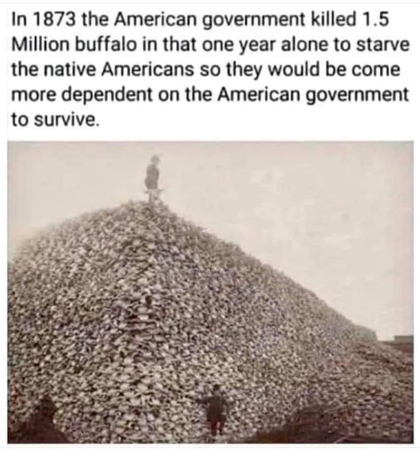Buffalo Slaughter