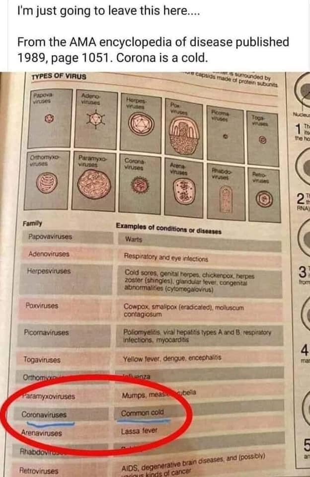 Coronavirus Family According to AMA