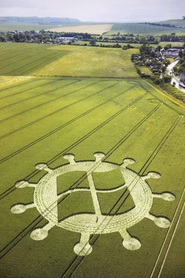 Crop Circle MS Corona