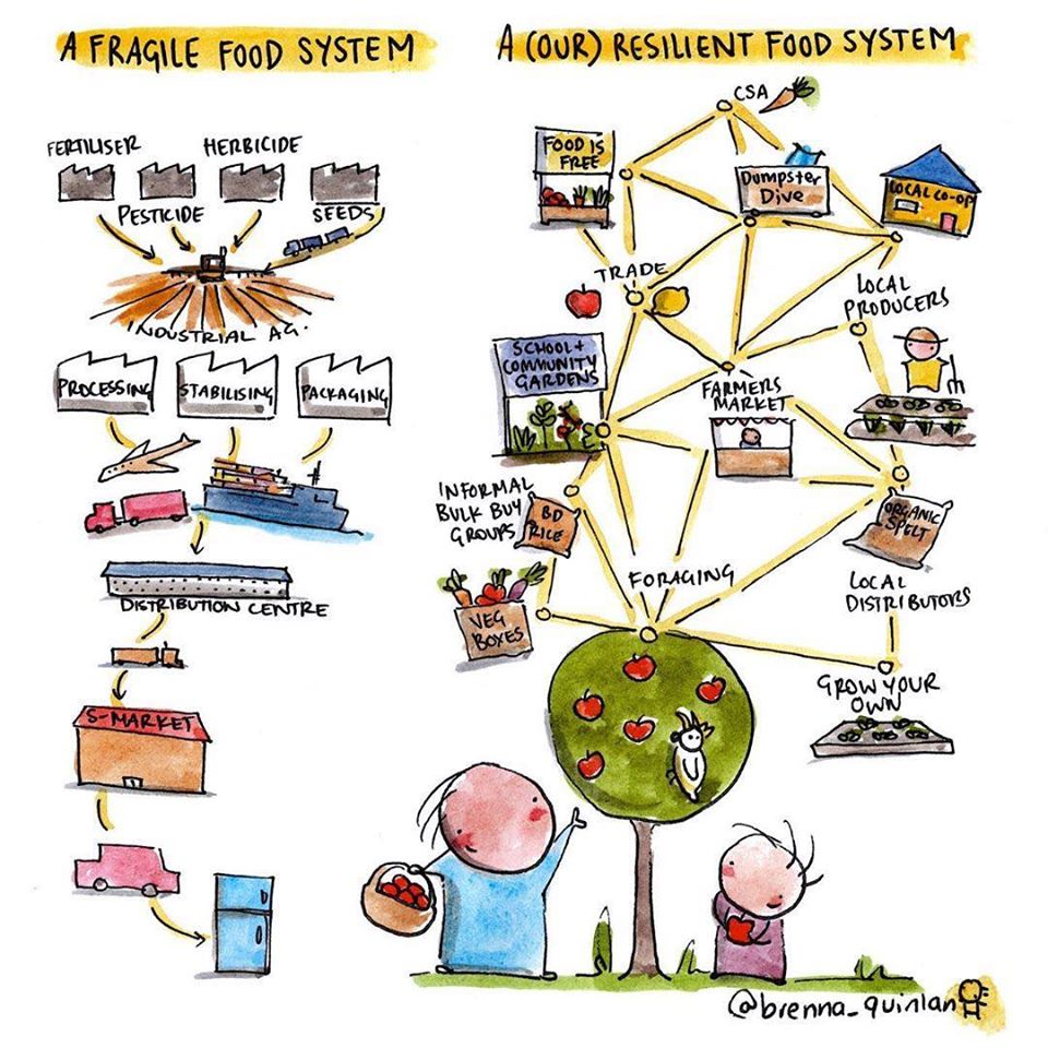 Fragile Vs Resilient