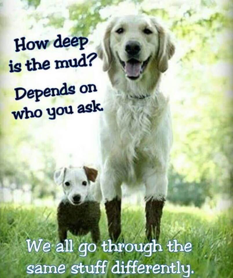 How Deep Is The Mud?