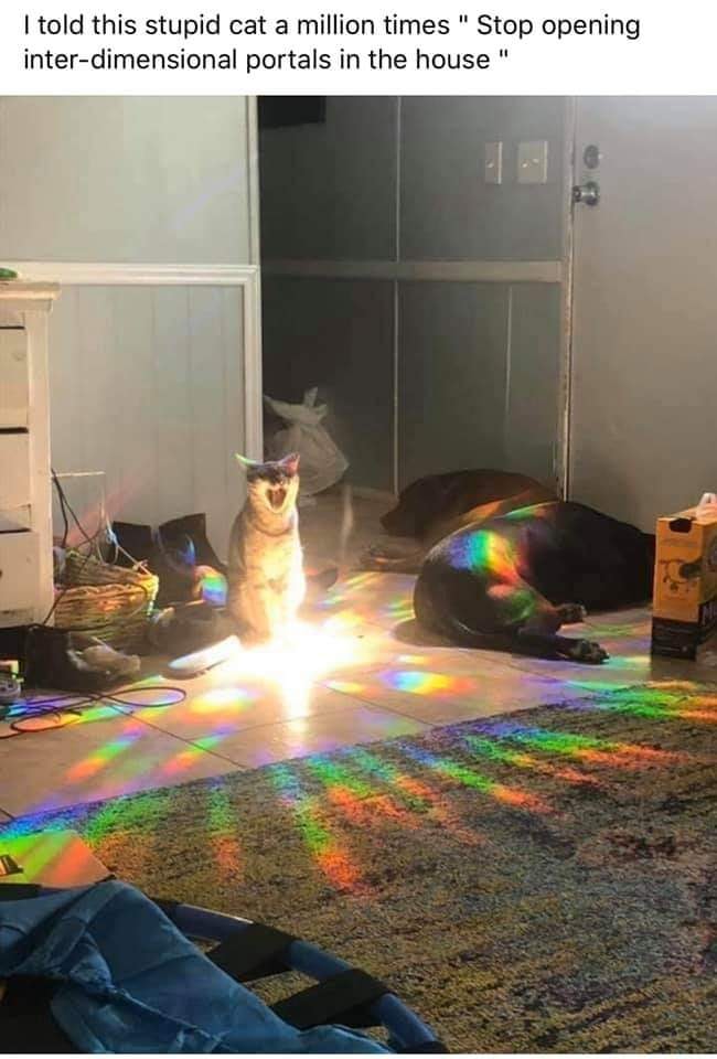 Interdimensional Portal