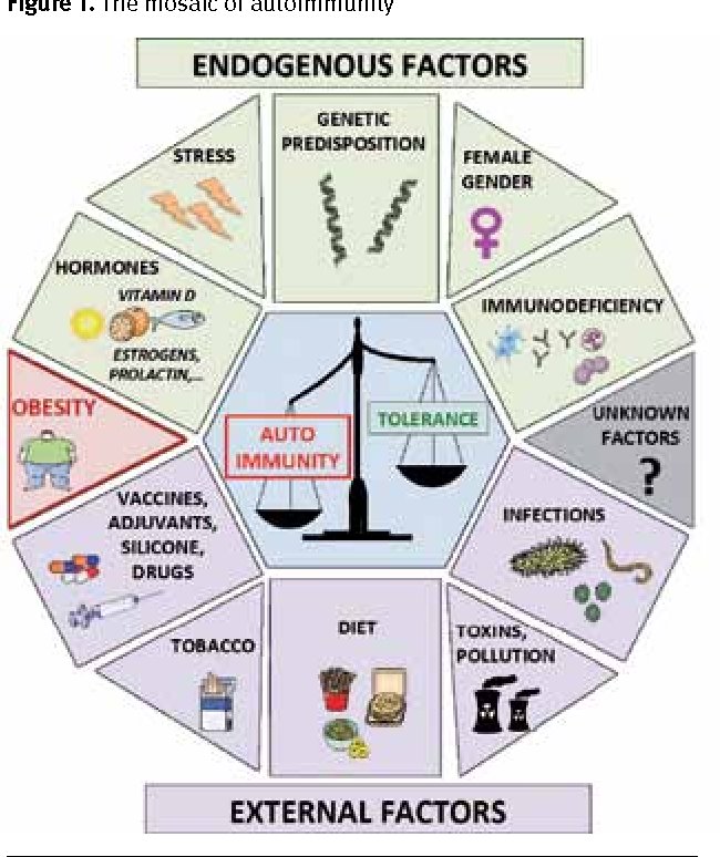 AutoImmune Factors