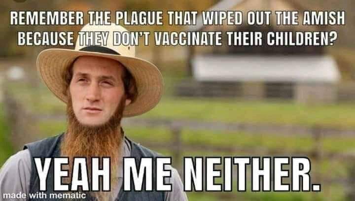 Amish No Vaccine No Autism Link