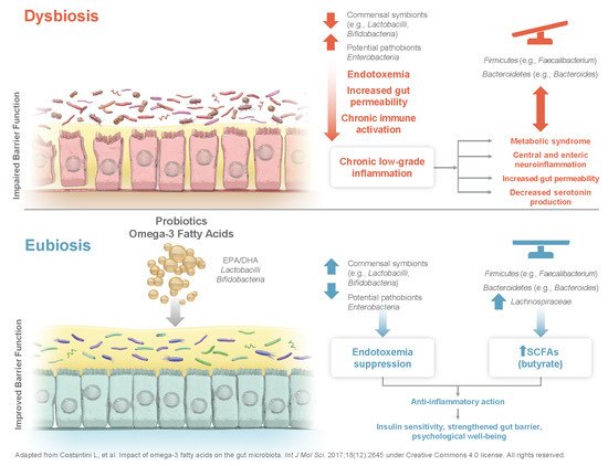 Gut Lining States