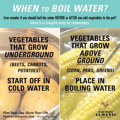 When to Boil