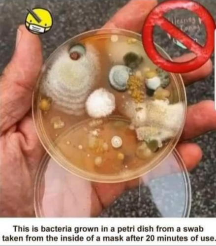 Mask Germs In Petri Dish