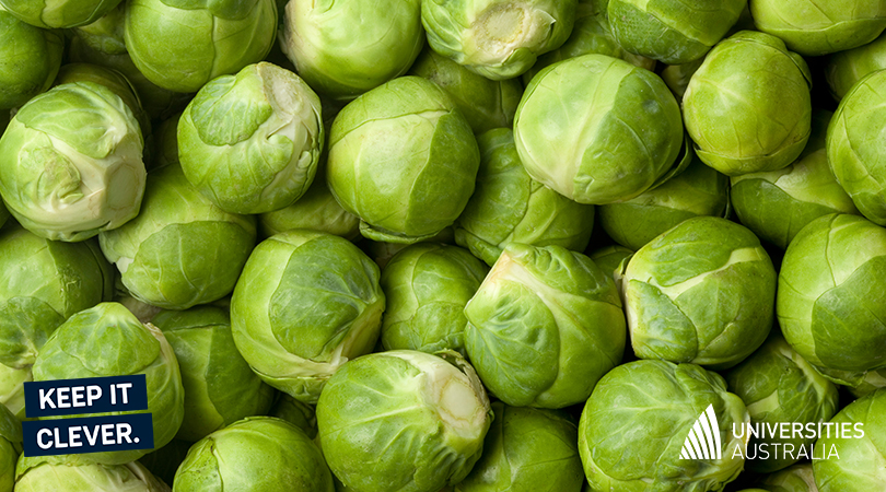 Brussel Sprouts