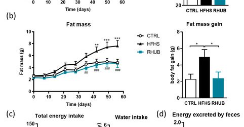 Rhubarb Fat Mass Graph