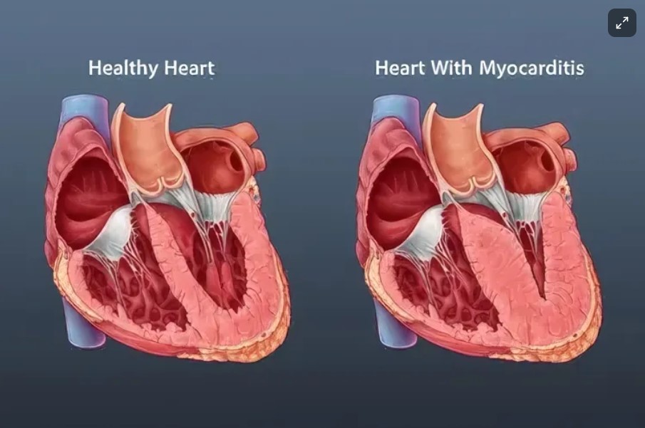 Two Hearts