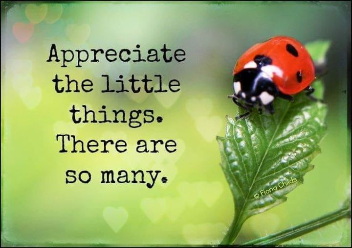 Appreciate The Little Things