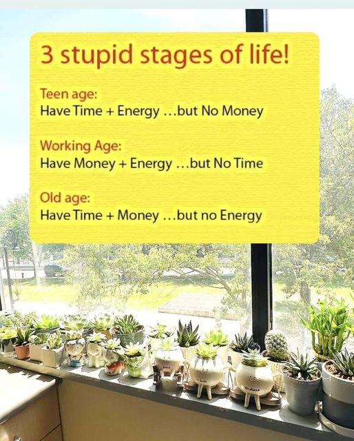 Stages Of Life