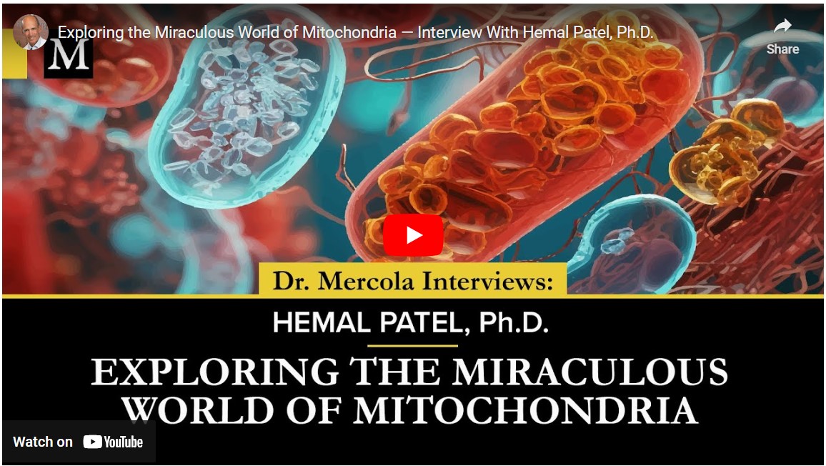 Exploring Mitochondria