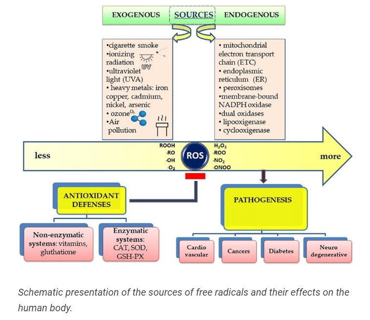 Free Radical Schematic