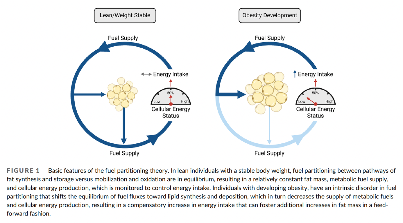 Fuel Partitioning Theory