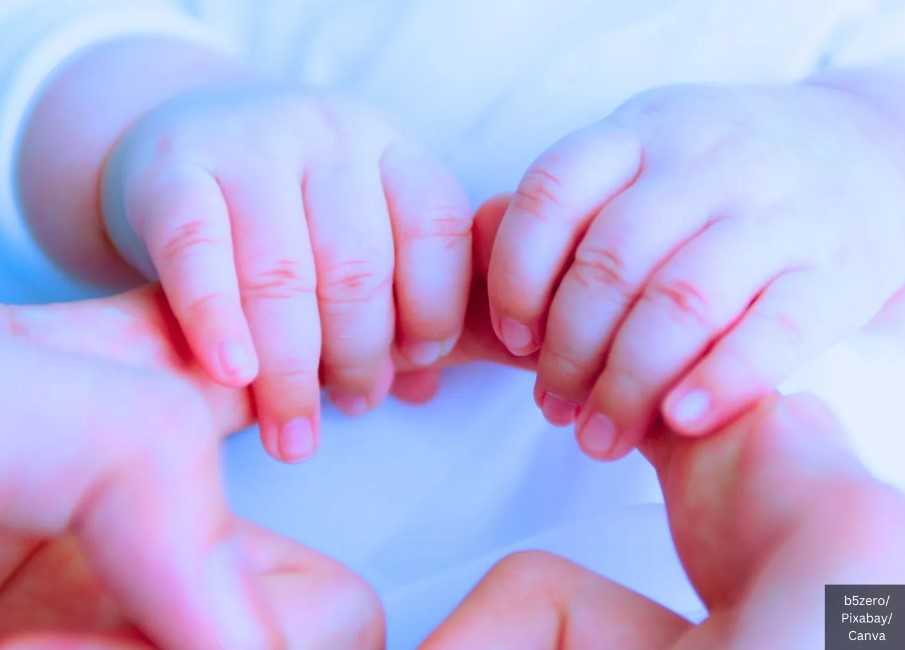 Baby Hands