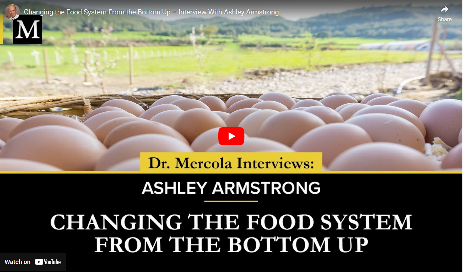 Changing The Food System