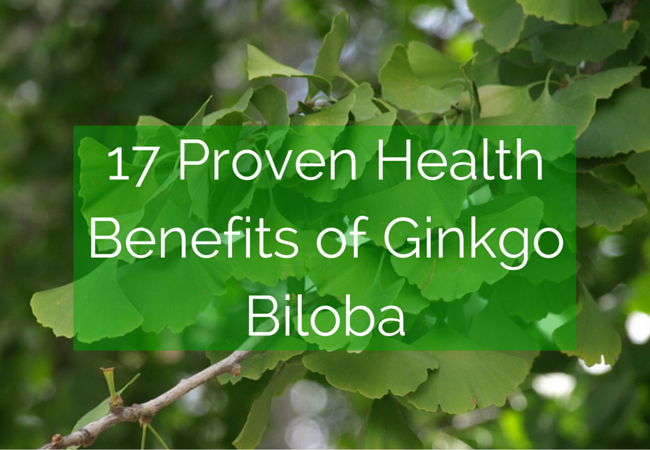 Ginkgo Biloba Benefits