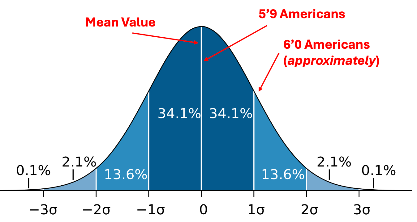 Height Distribution Bell Curve
