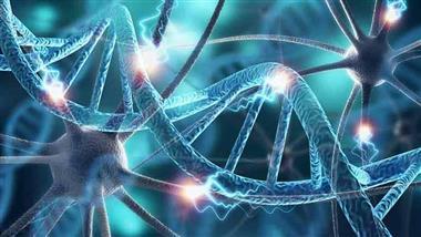 Magnesium Cellular Energy Production