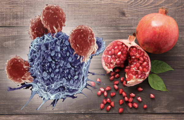 Pomegranate vs Cancer Stem Cells