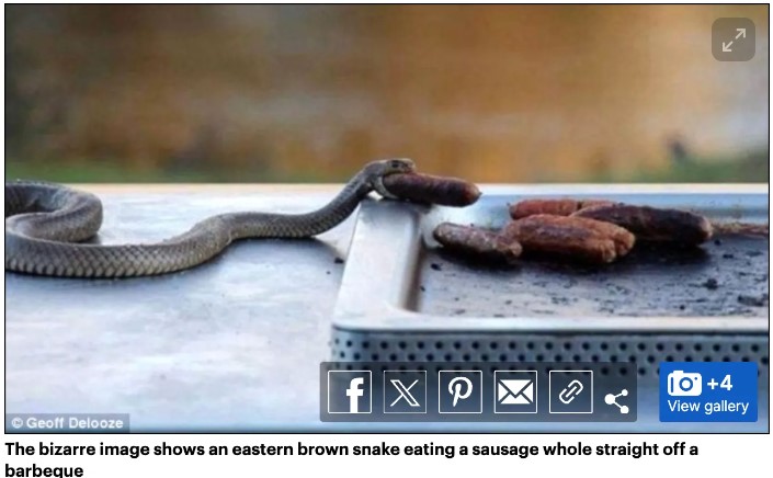 Throw Another Snake On The Barby