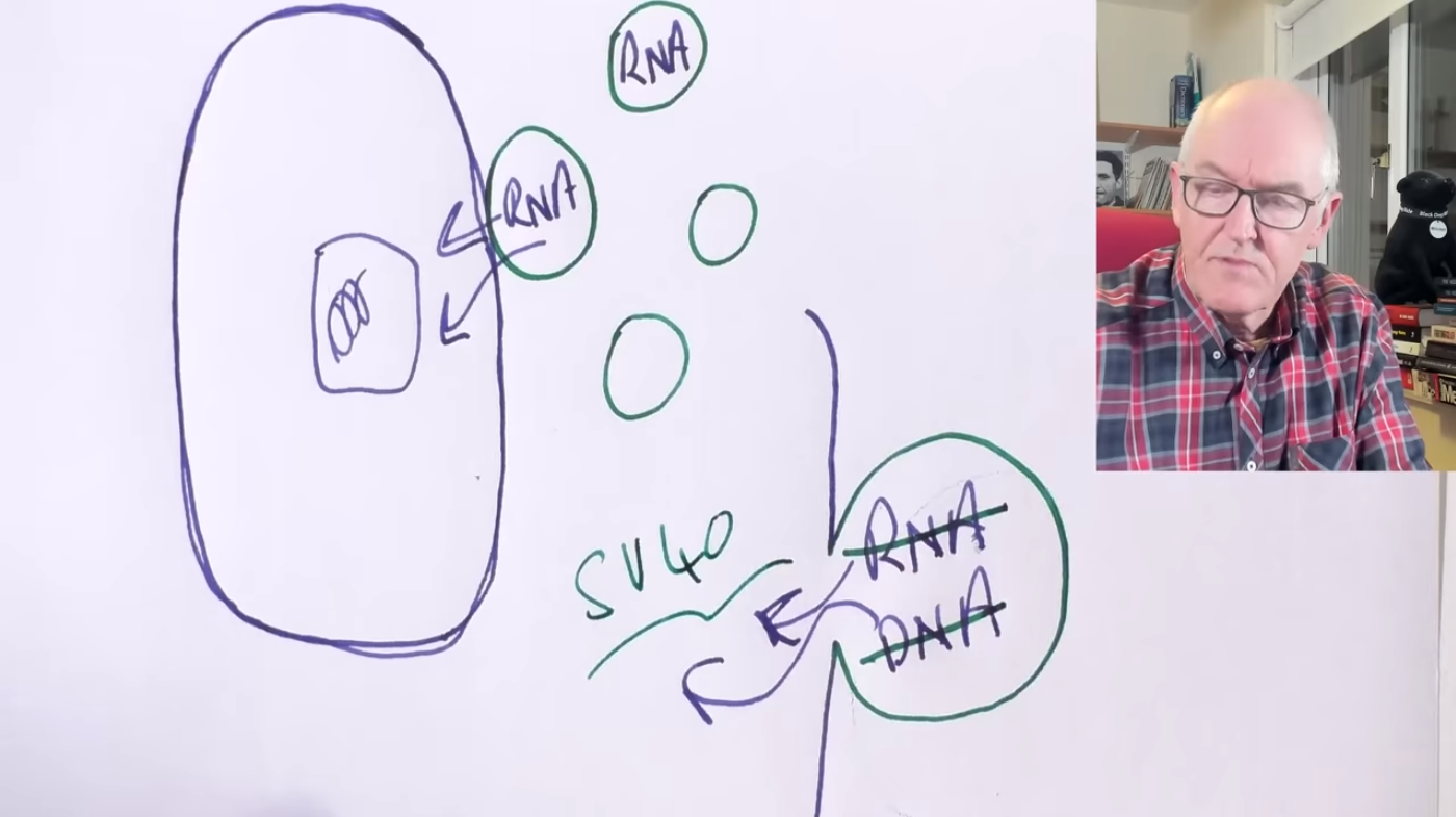 Dr John Campbell on Lipid Nonoparticles