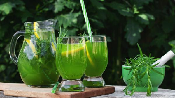 Tarragon