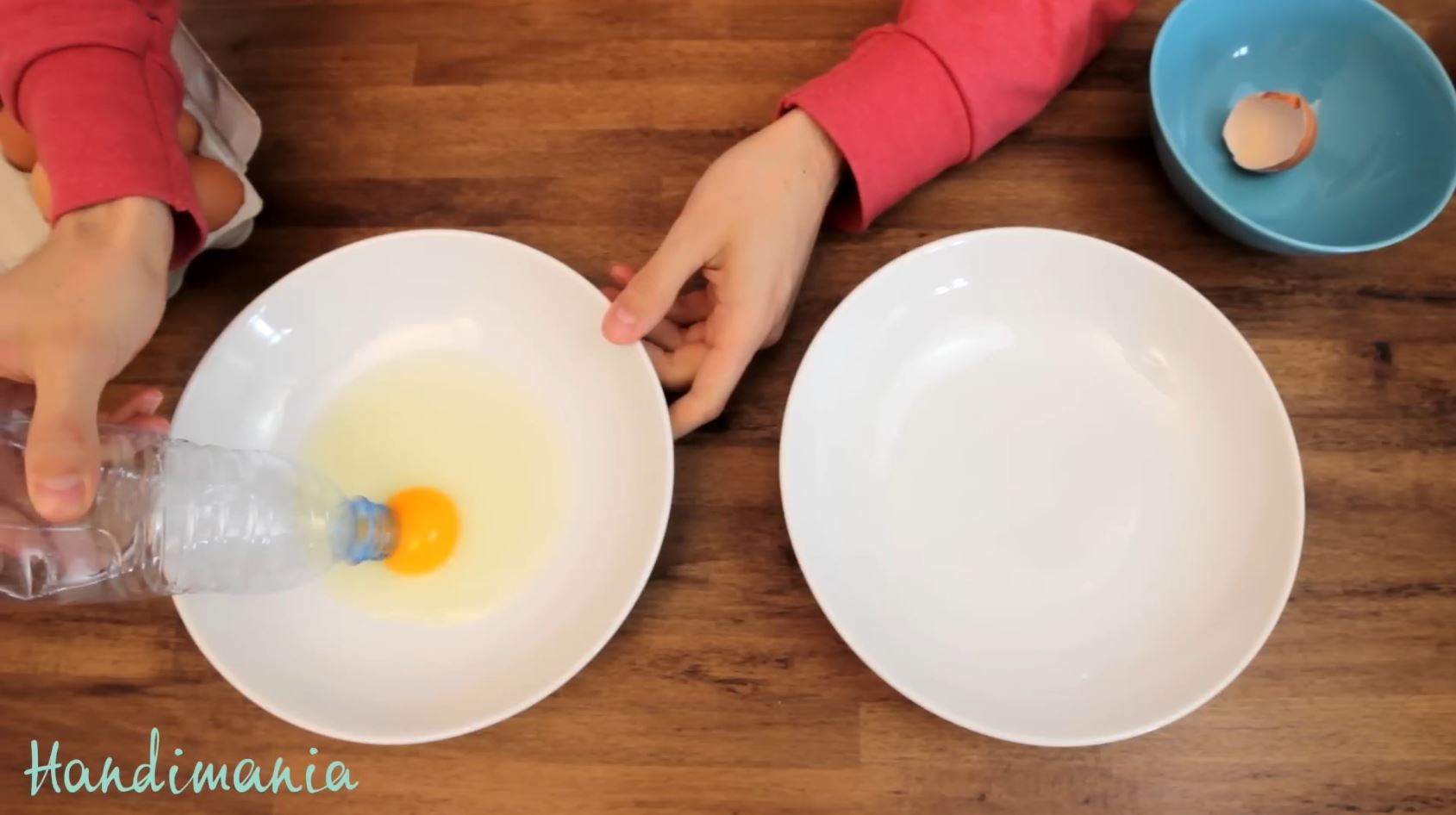 Egg Yolk Tip