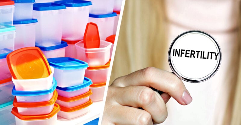 Endocrine Chemicals Infertility