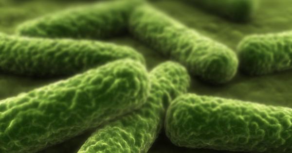 Pseudomonas Aeruginosa