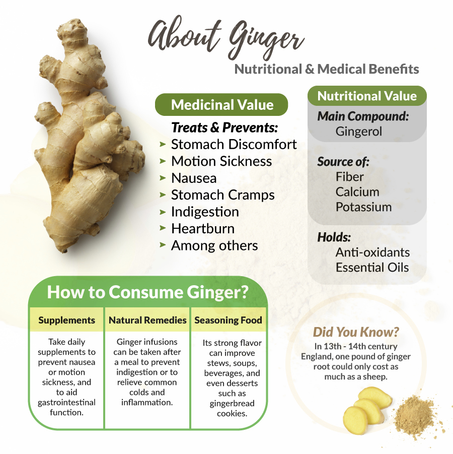 Ginger