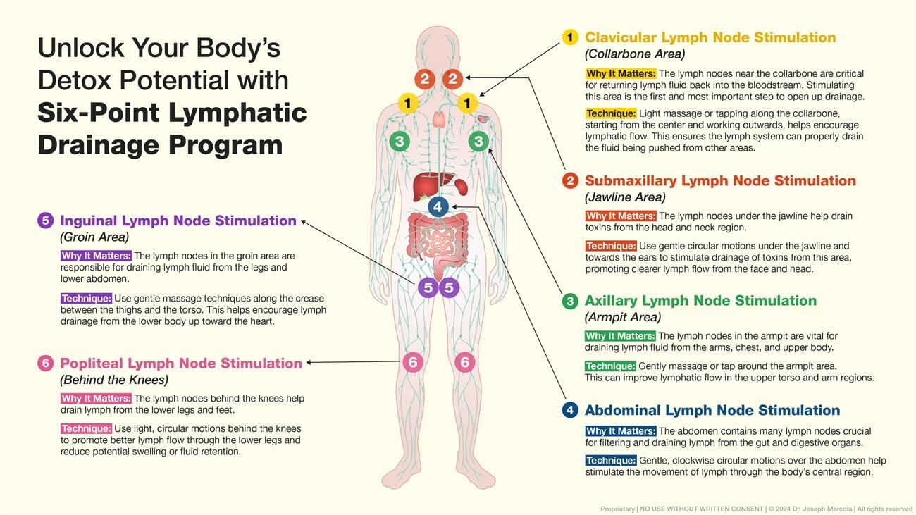 Lymphatic Drainage Program