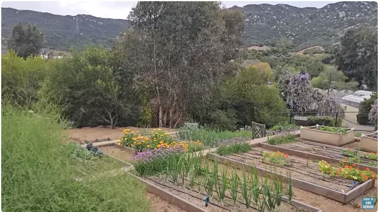 Garden Beds